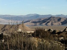 pic25t.jpg (8758 bytes)